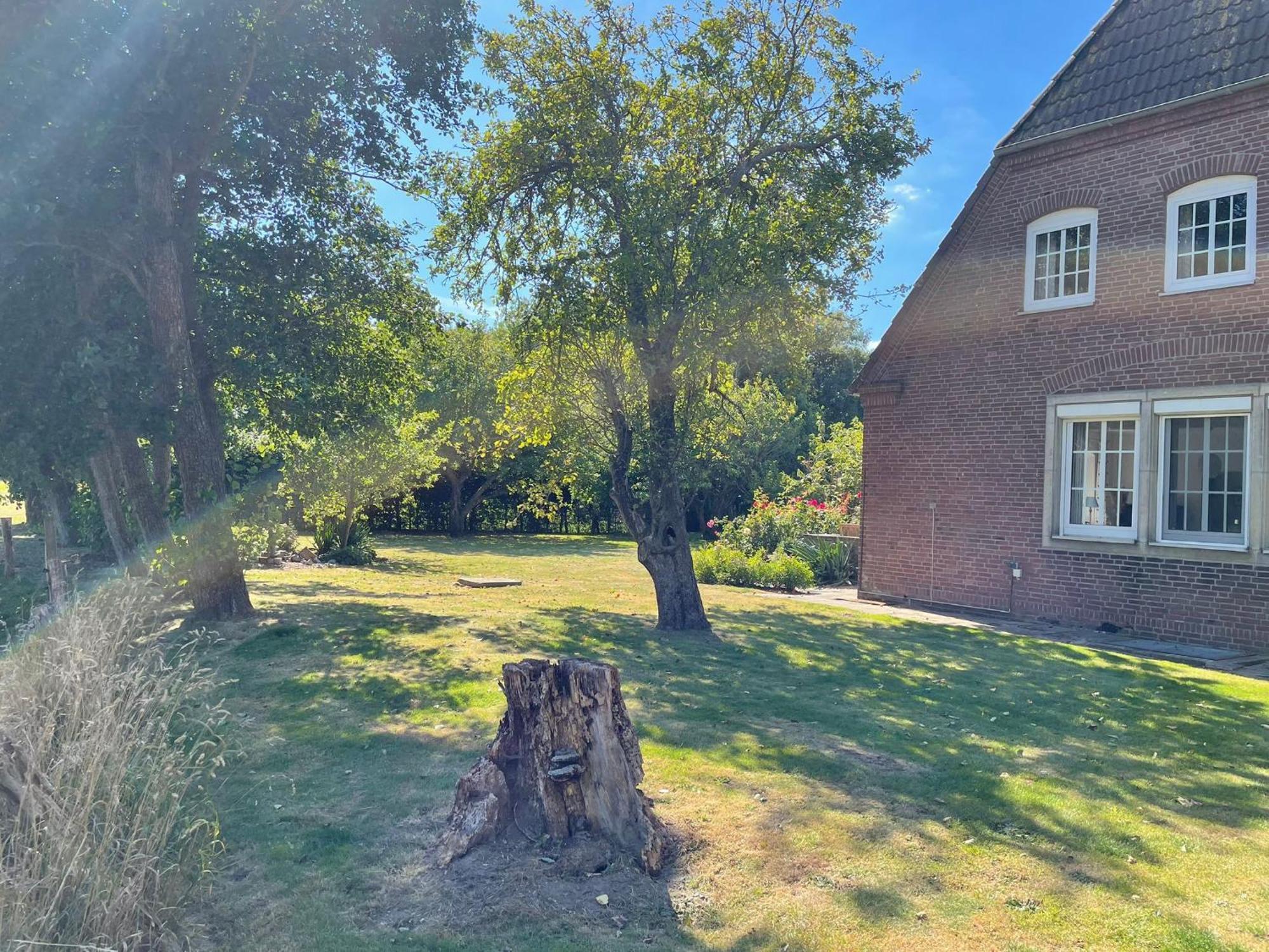 Hedwigenkoog Pension Nordwind מראה חיצוני תמונה